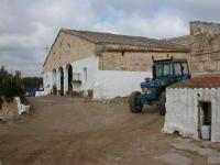 ads bov de Menorca 
